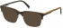 TIMBERLAND TB1655 sunglasses in Matte Dark Green