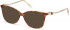SWAROVSKI SK5367-53 sunglasses in Havana/Other