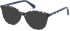 SWAROVSKI SK5301 sunglasses in Havana/Other