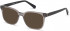 GUESS GU50021-51 sunglasses in Grey/Other