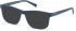 TIMBERLAND TB1663-54 sunglasses in Matte Blue