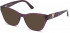 GUESS GU2828-53 sunglasses in Violet/Other