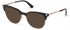 GUESS GU2798-S sunglasses in Shiny Black