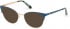 GUESS GU2796-52 sunglasses in Shiny Turquoise