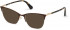 GUESS GU2787 sunglasses in Matte Dark Brown