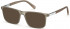 GUESS GU1982-53 sunglasses in Grey/Other