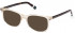 GANT GA3232 sunglasses in Crystal/Other