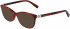 LONGCHAMP OPTICAL LO2633 Sunglasses in RED HAVANA