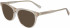 CALVIN KLEIN JEANS OPTICAL CKJ19525 Sunglasses in CRYSTAL SAND