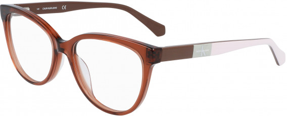 Calvin Klein Jeans CKJ21613 glasses in Brown