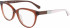 Calvin Klein Jeans CKJ21613 glasses in Brown