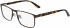 Calvin Klein CK20316 glasses in Matte Dark Brown