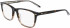 Calvin Klein CK21502-53 glasses in Dark Tortoise