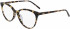 DKNY DK5003 glasses in Tokyo Tortoise