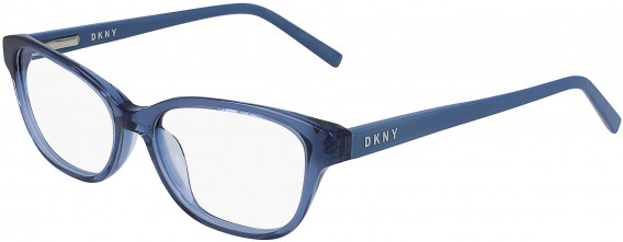 DKNY DK5011 glasses in Blue