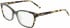 DKNY DK5034 glasses in Tokyo Tortoise/Green