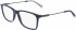 Salvatore Ferragamo SF2876 glasses in Blue/Matte Ruthenium
