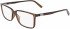 Salvatore Ferragamo SF2894 glasses in Crystal Brown