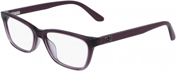 Calvin Klein CK20530 glasses in Plum Gradient