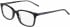 DKNY DK5008 glasses in Black Tortoise