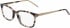 DKNY DK5008 glasses in Nude Tortoise