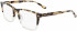 Calvin Klein CK21502-55 glasses in Khaki Tortoise