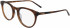 DKNY DK5023 glasses in Camel Tortoise