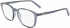 Salvatore Ferragamo SF2895 glasses in Crystal Grey