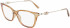 Salvatore Ferragamo SF2891 glasses in Crystal Brown