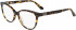 Calvin Klein CK21503 glasses in Amber Tortoise