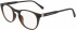 Calvin Klein Jeans CKJ20511 glasses in Matte Dark Crystal Brown