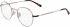 Calvin Klein Jeans CKJ20218 glasses in Gold/Brown