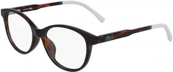 Lacoste L3636 glasses in Havana
