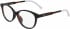 Lacoste L3636 glasses in Havana