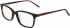 DKNY DK5008 glasses in Dark Tortoise