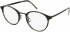 Flexon Black FLEXON B2024 glasses in Grey Horn
