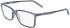 Salvatore Ferragamo SF2894 glasses in Crystal Grey