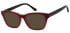 Sunglasses in Burgundy/Black