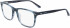 Calvin Klein CK21502-55 glasses in Navy Havana