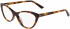 Calvin Klein CK20506 glasses in Soft Tortoise
