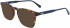 Calvin Klein Jeans CKJ21608 sunglasses in Navy Tortoise
