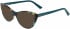Calvin Klein CK20506 sunglasses in Turquoise Tortoise