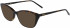 DKNY DK5002 sunglasses in Dark Tortoise