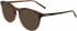 DKNY DK5023 sunglasses in Camel Tortoise