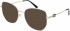 Salvatore Ferragamo SF2219 sunglasses in Rose Gold/Black