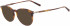 Salvatore Ferragamo SF2823 sunglasses in Tortoise