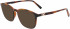Salvatore Ferragamo SF2895 sunglasses in Tortoise
