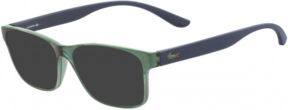 Lacoste L3804B sunglasses in Dark Green