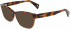 Lanvin LNV2603 sunglasses in Havana