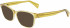 Lanvin LNV2603 sunglasses in Honey